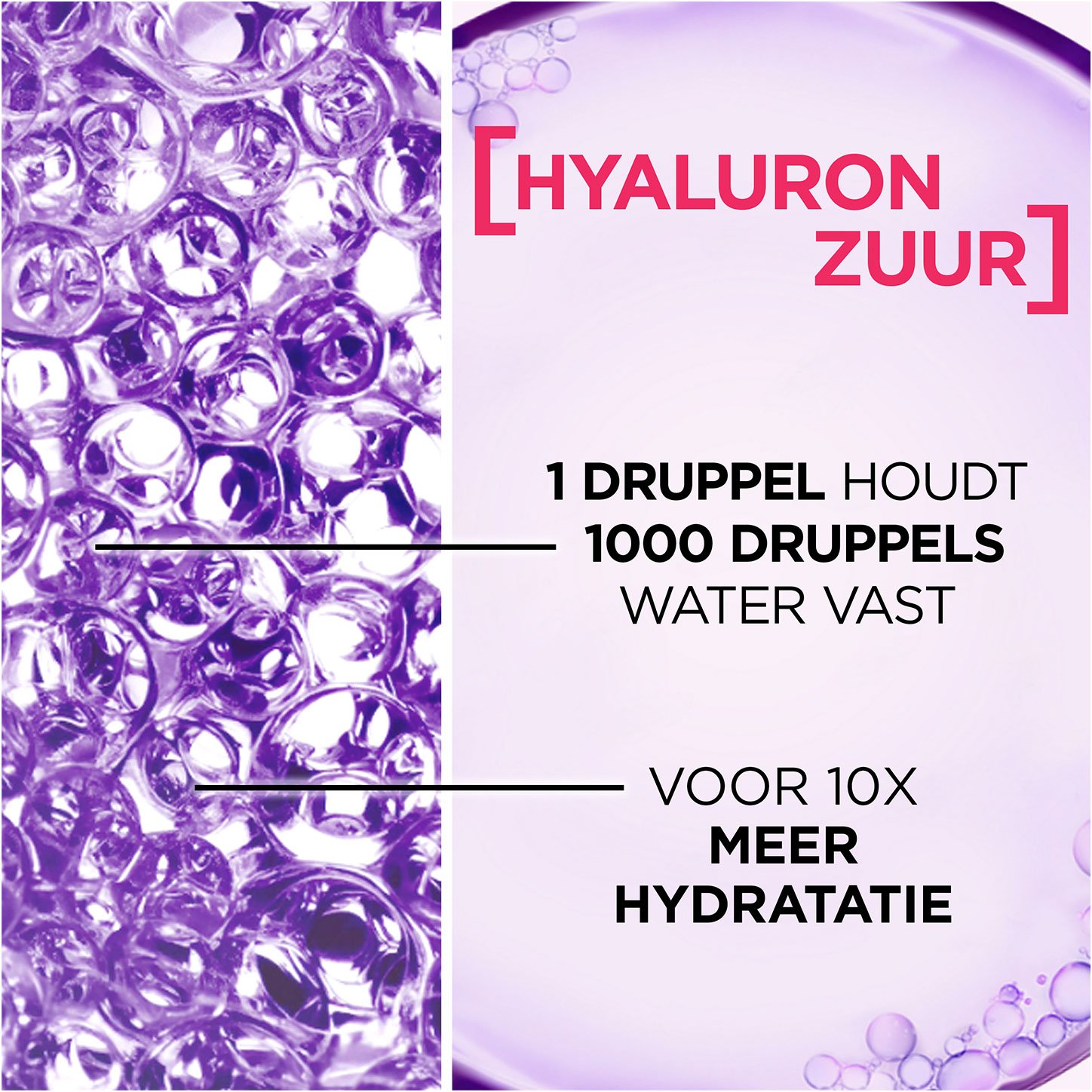 8050407 Digital Hyaluronindia Visual Website Colorvive 2022